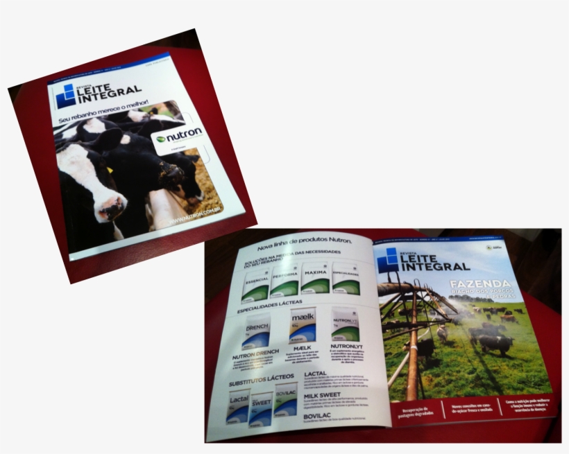 Tag - Anúncio, transparent png #6999971