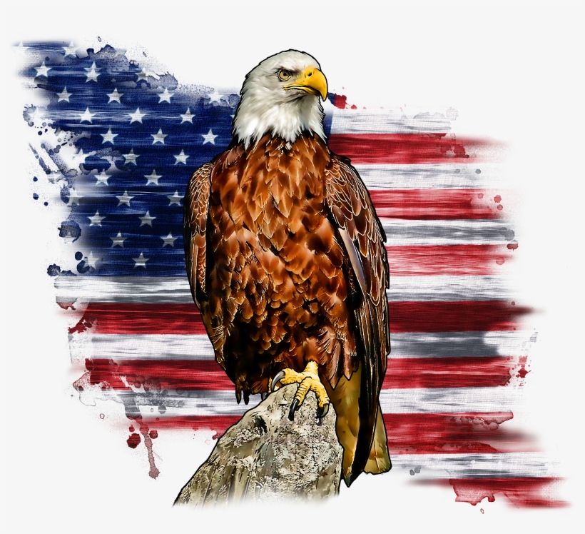 Bald Eagle Perched With An American Flag, transparent png #70096