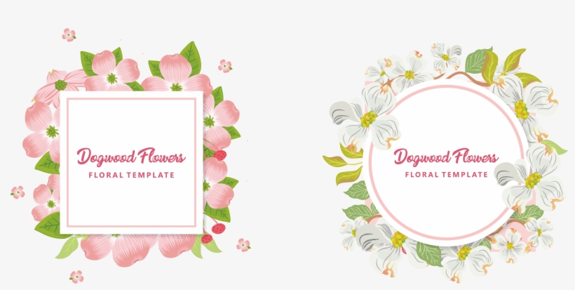 Flowering Wedding Invitation Euclidean - Flowering Dogwood, transparent png #70177