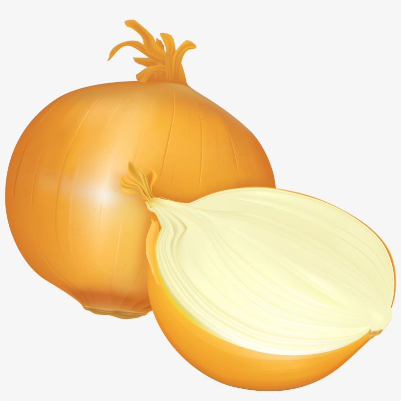 Png Best Web - Onion Clipart No Background, transparent png #70295