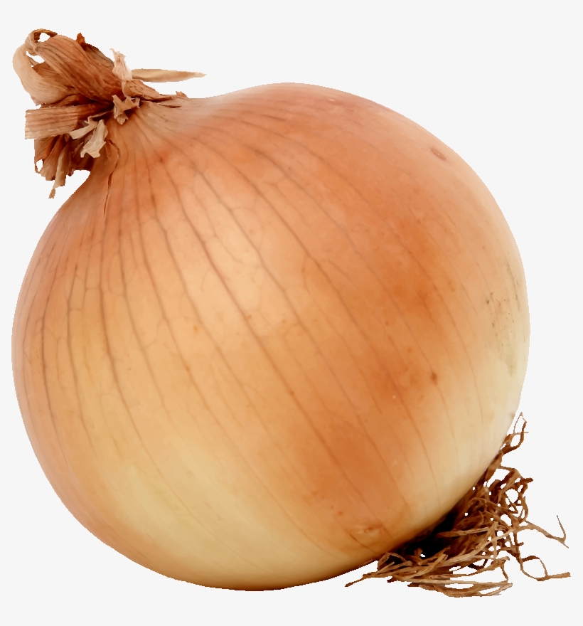 Download Free Onion Images - Onion Png, transparent png #70512