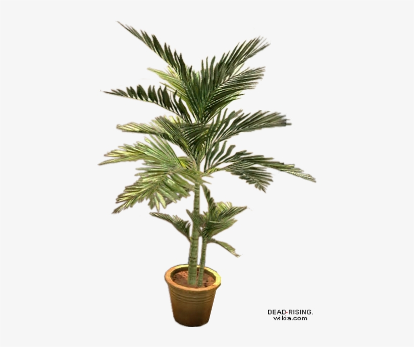 Dead Rising Potted Plant 4 - Large Potted Plants Png, transparent png #70846