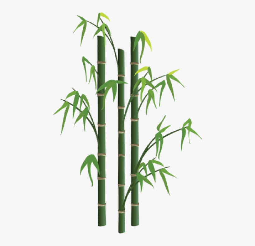 Free Png Bamboo Png Images Transparent - Bamboo Png, transparent png #71126