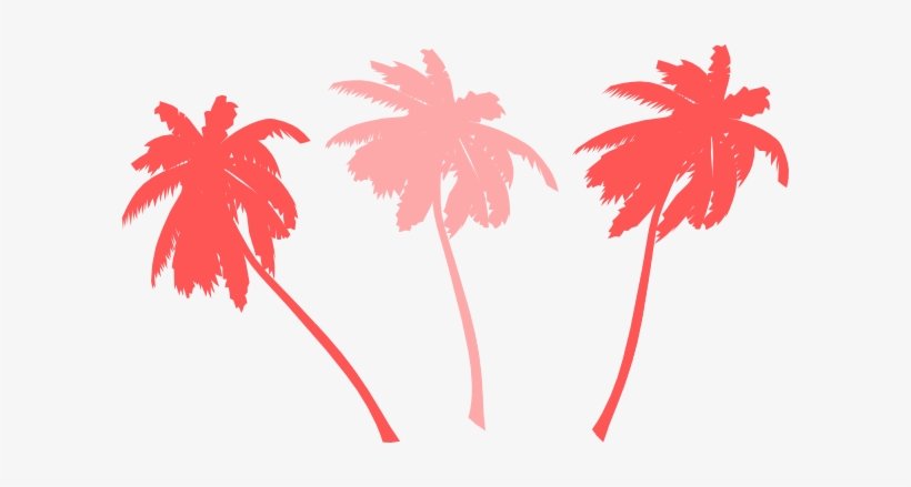 Vector Palm Trees Svg Clip Arts 600 X 359 Px, transparent png #71372