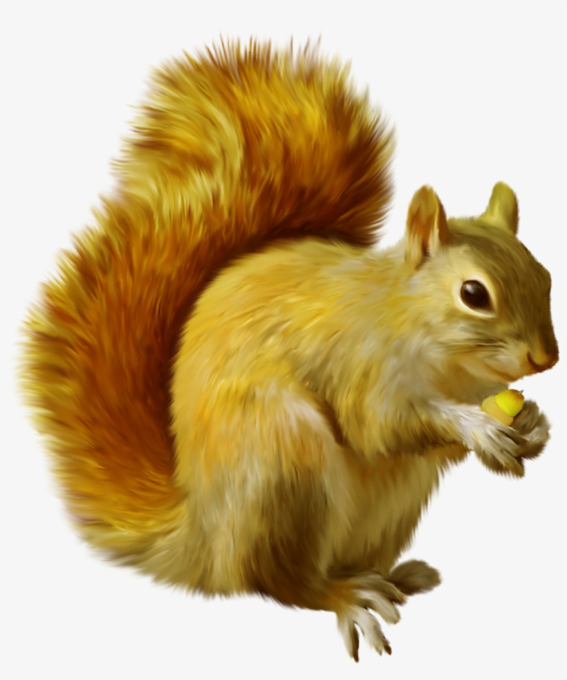 A E D B Xxxl Png - Animals Full Hd Png, transparent png #71705