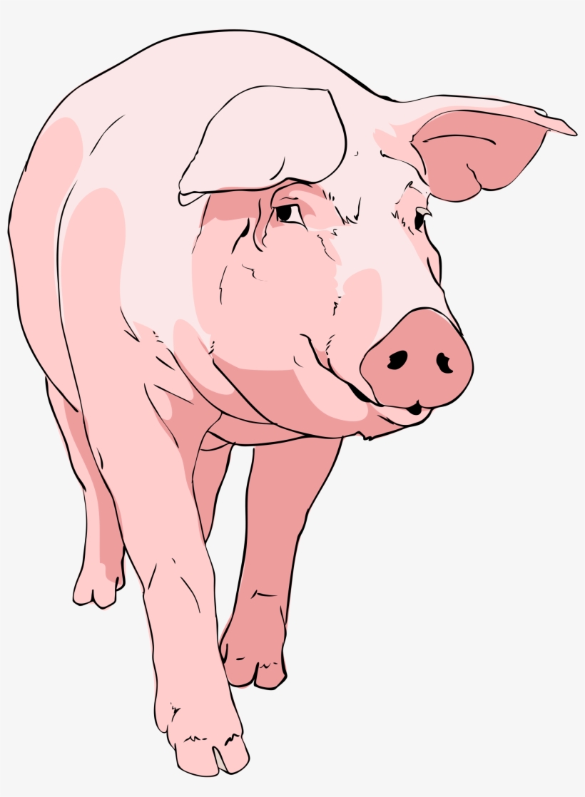 Nice Weekend Pig - Pig Clipart, transparent png #71967