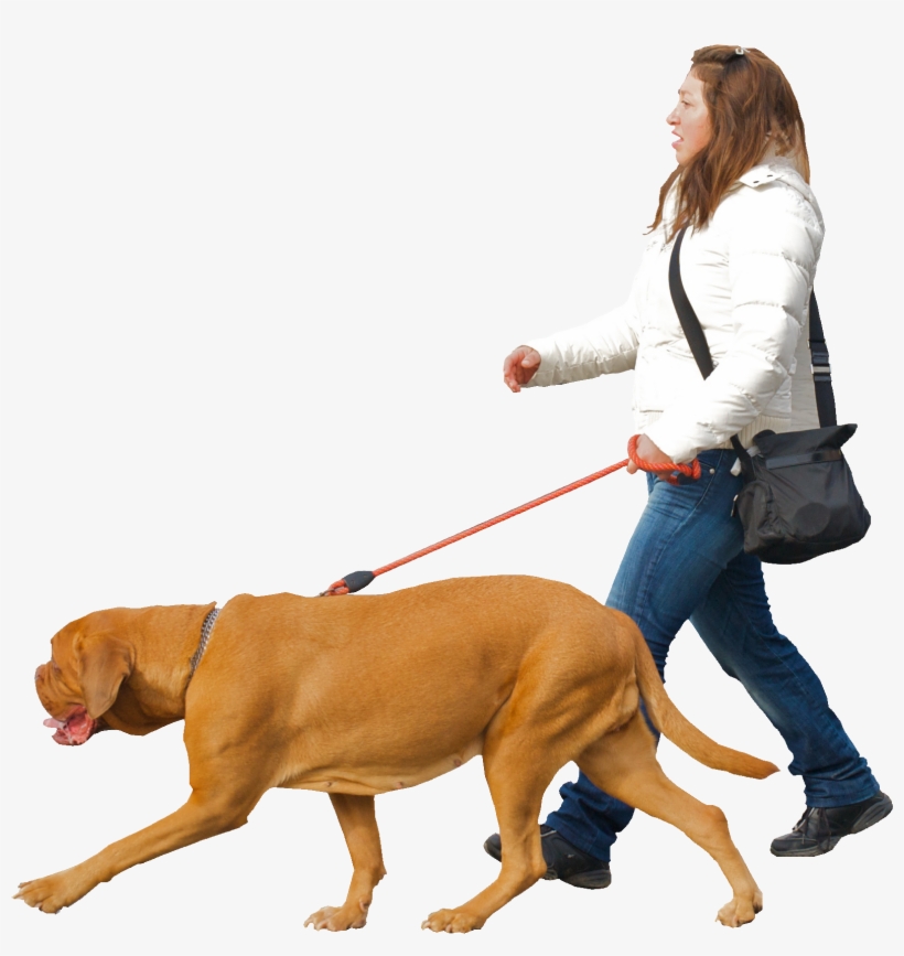 Man Walking Dog Png, transparent png #72244