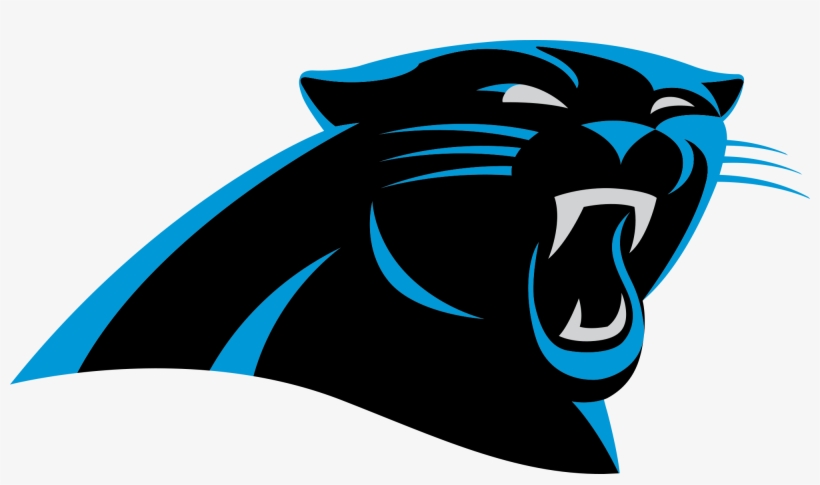 All Official National Football League Team Logos Www - Carolina Panthers Png, transparent png #72420