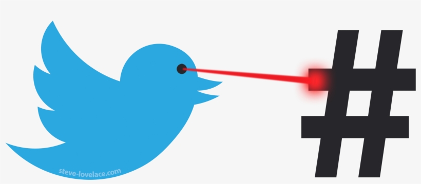 Outrage, Trolling And Hashtag Activists Steve Lovelace - Duck, transparent png #72698