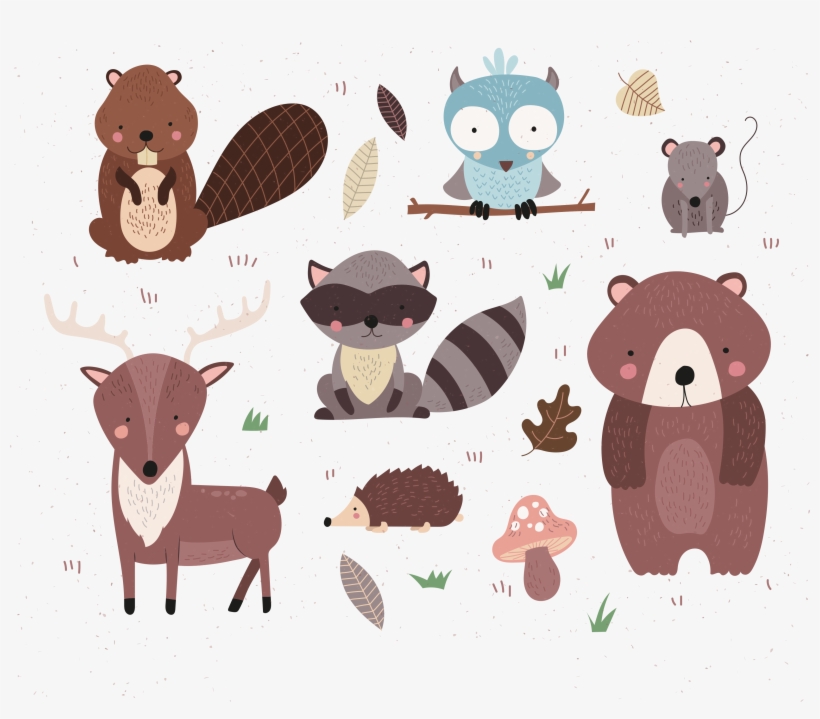 Pin By Paola C, transparent png #72935