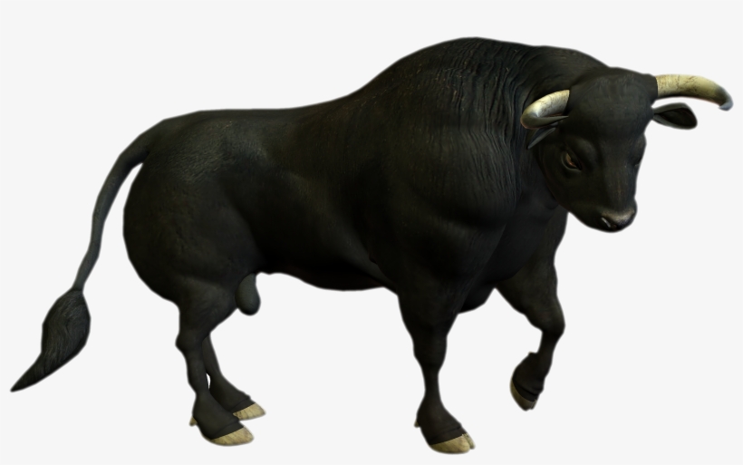 Transparent Free Images Only - Buffalo Png, transparent png #73015
