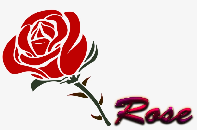 Red Rose, transparent png #73126
