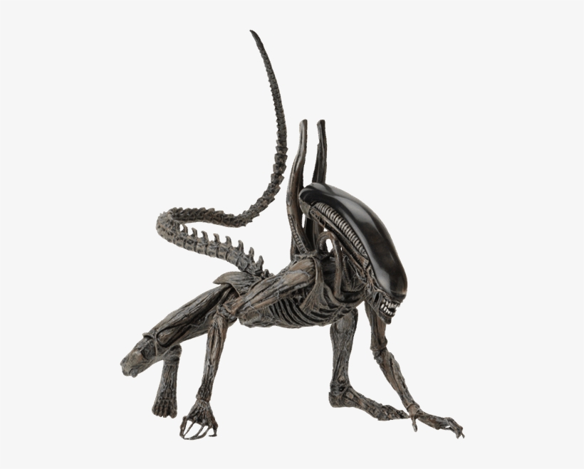 Xenomorph Alien Png - Alien Xenomorph Action Figure, transparent png #73330