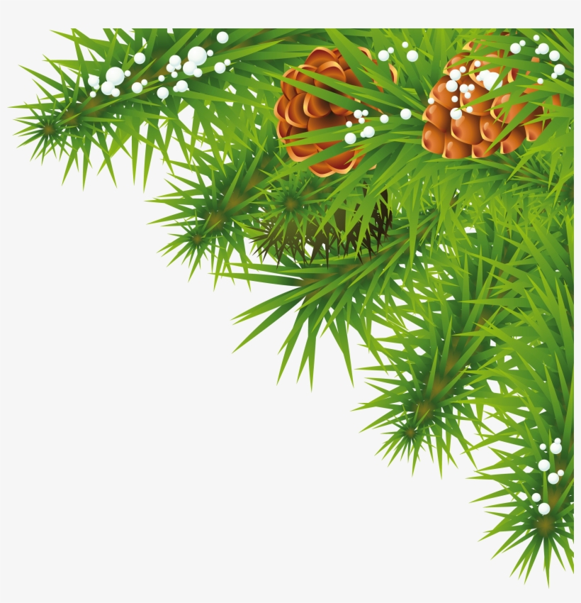 Fir-tree Branch Png Image - Nature Picsart Png Hd, transparent png #73530