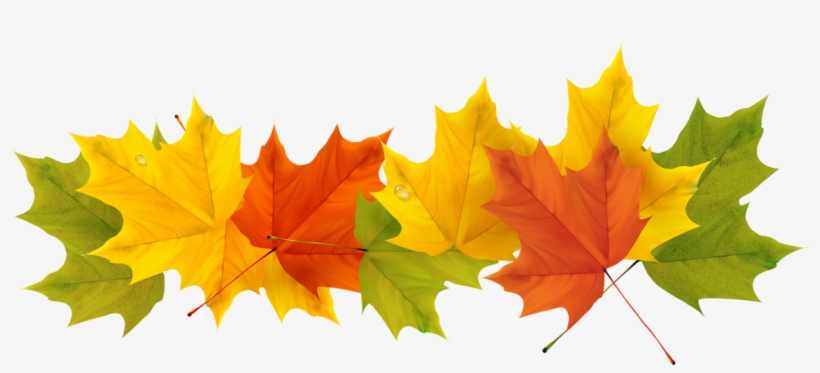 Fall Leaves Border Transparent, transparent png #73639