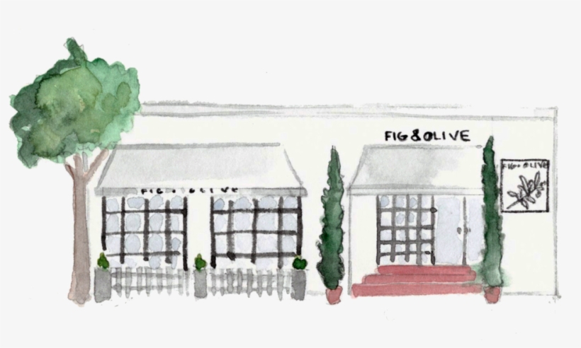 Figolive - Portable Network Graphics, transparent png #74268