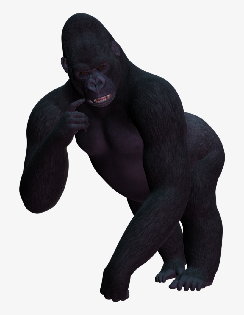 Gorilla Png Image - Gorilla Transparent Background, transparent png #74508