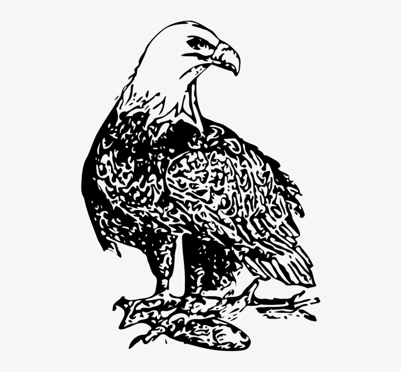 Bald Eagle - Bird Eagle Clip Black & White, transparent png #74622