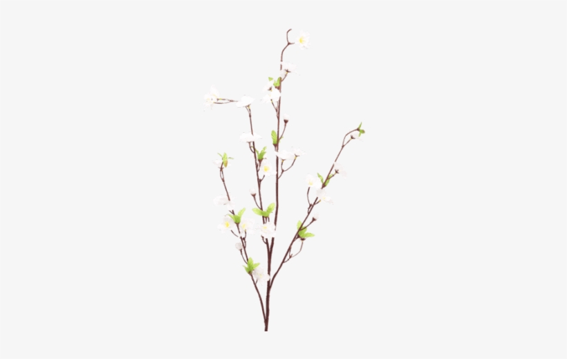 Cherry Blossom White - Twig, transparent png #74997