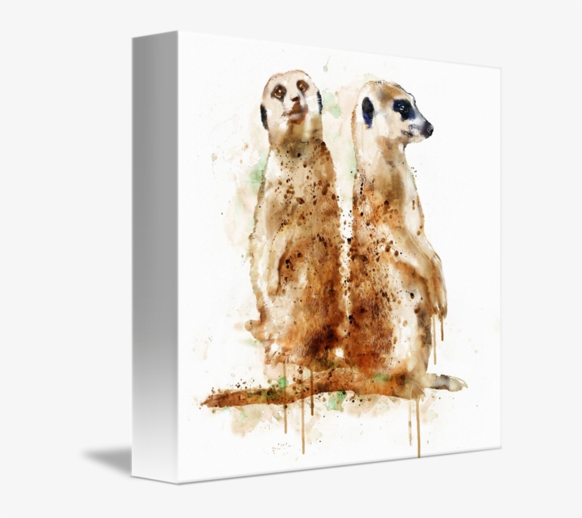 "meerkats" By Marian Voicu, Bucharest // Watercolor - Meerkat Art, transparent png #75251