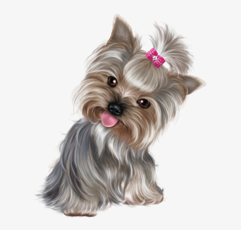 Cute Puppy Png Clip Art - Yorkie Clipart, transparent png #75613