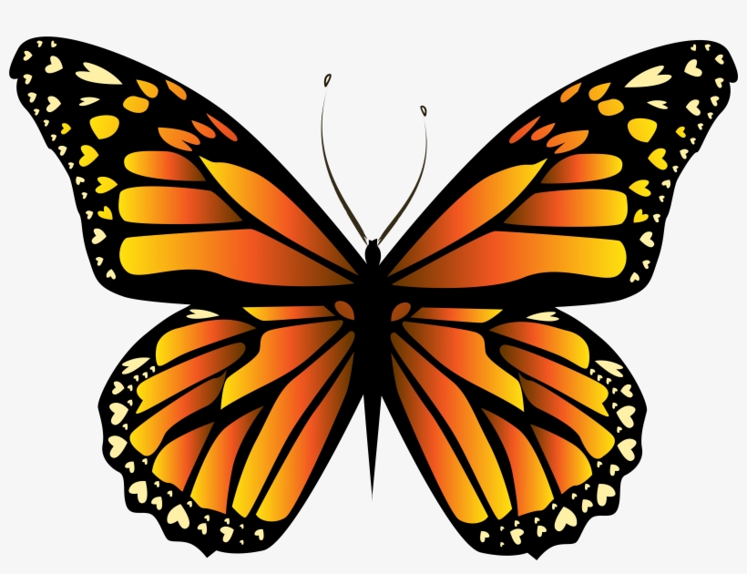 Butterflies Clipart Orange, transparent png #75713