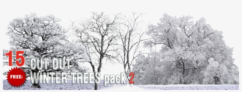 Free Winter Trees Png Pack - Winter Tree Cutout Png, transparent png #75939