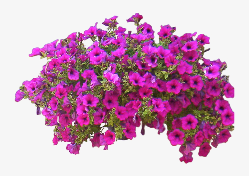 Rose Bush Clipart Entourage - Cut Out Flowers Png, transparent png #75962