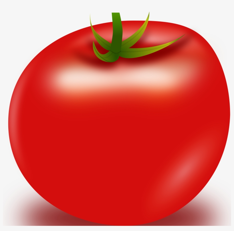 This Free Icons Png Design Of Vector Tomato, transparent png #75968