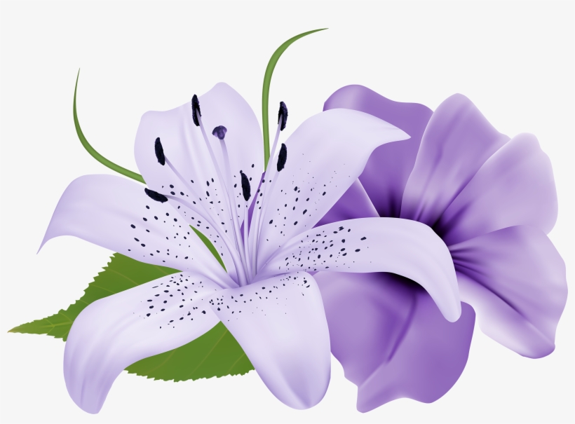 Purple Diamond, Diamond, Coloured, Decoration Png Image - Flowers Png, transparent png #76289