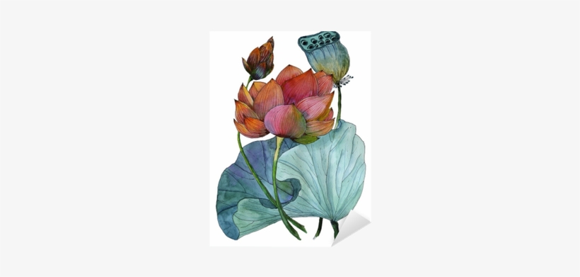 Original Watercolor Painting Of Aquatic Plants Of Lotus - Watercolor Painting, transparent png #76568