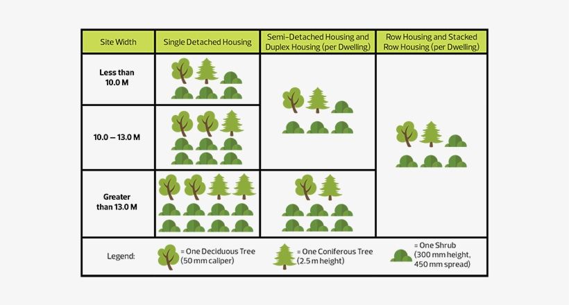 Do Not Need To Be Shown On The Site Plan - Shrub Height, transparent png #76613