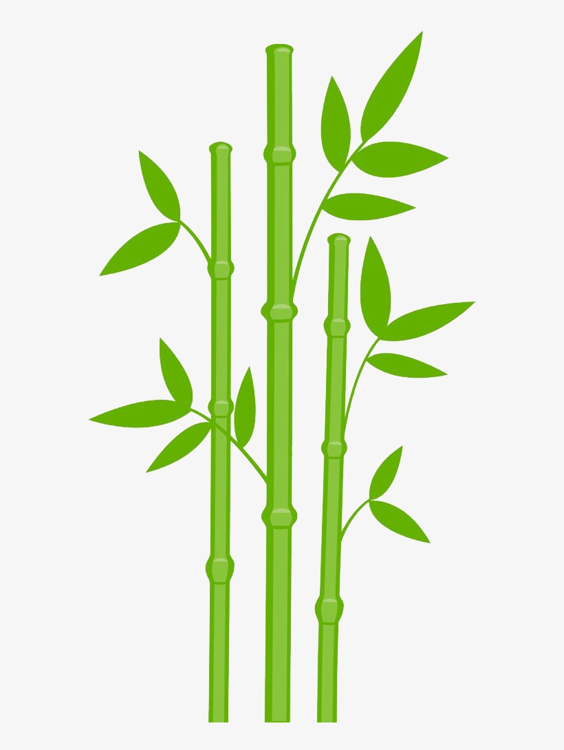 Bamboo Png Designs - Bamboo Clipart, transparent png #77004