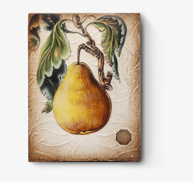 Guitar Png, transparent png #77204