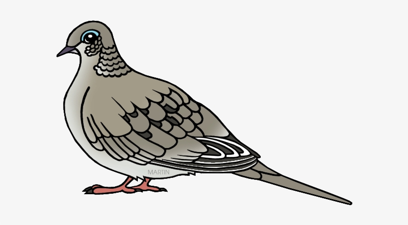 Useful For Developer Mourning Dove Clipart Bese64 Converted - Mourning Dove Clipart, transparent png #77480