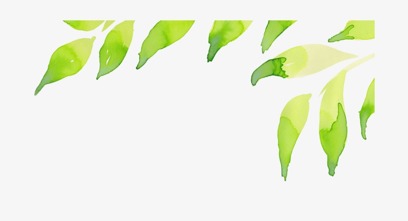 Header Green Leaves Right, transparent png #77786