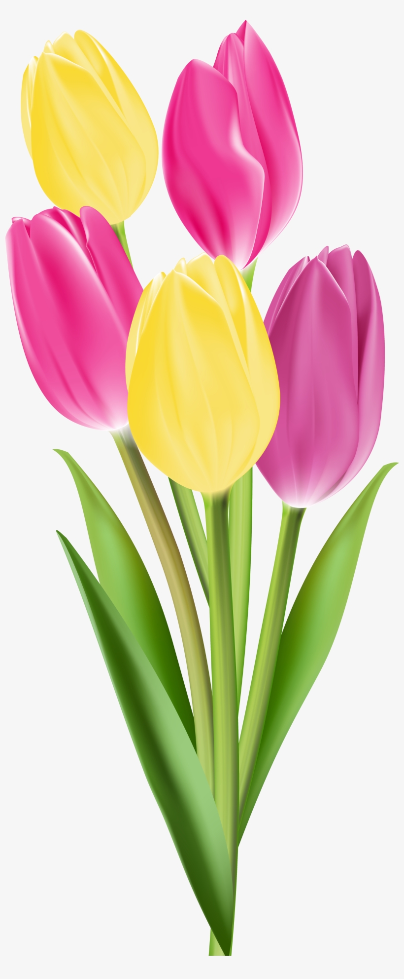 Flower Images, Flower Clips, Flower Art, Flower Crafts, - Yellow Single Tulip Png, transparent png #77844