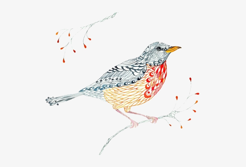 Bird European Robin Visual Arts Watercolor Painting - Drawing, transparent png #77966