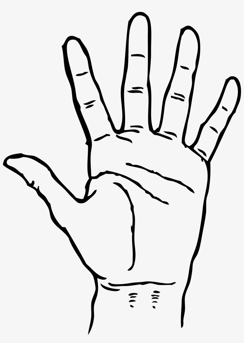 Png Image - Hand Clipart Black And White, transparent png #77987