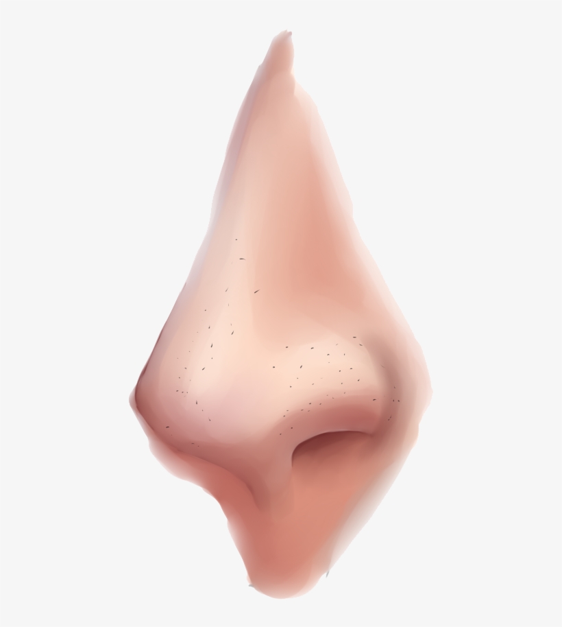 Nose Png Clipart - Nose Png, transparent png #78054