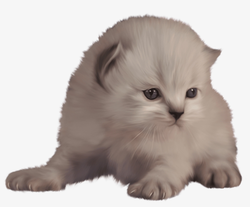 Free Png Kitten Png Images Transparent - Cat, transparent png #78260