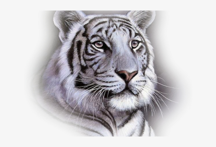 White Tiger Face Throw Blanket, transparent png #78375