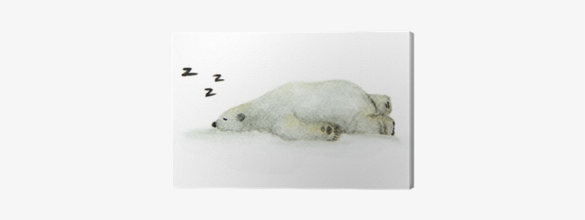 Hand Painted Watercolor Polar Bear - Polar Bear, transparent png #78695