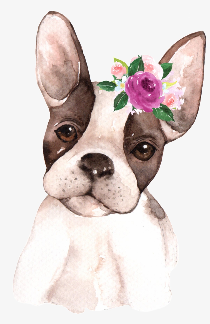 Hand Painted Starling Pet Dog Png Transparent - Animals With Flower Crowns, transparent png #79242