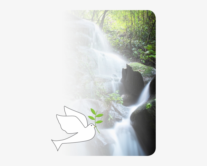 Waterfall - ‹ - Waterfall, transparent png #79327