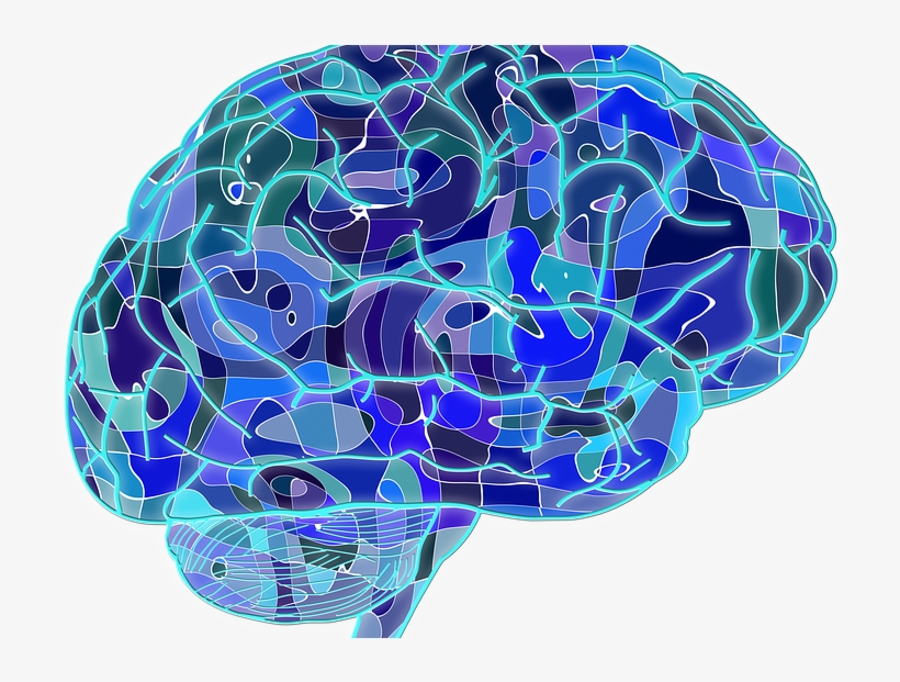 Crowdfunding Psychology - Neuroscience Png, transparent png #700161