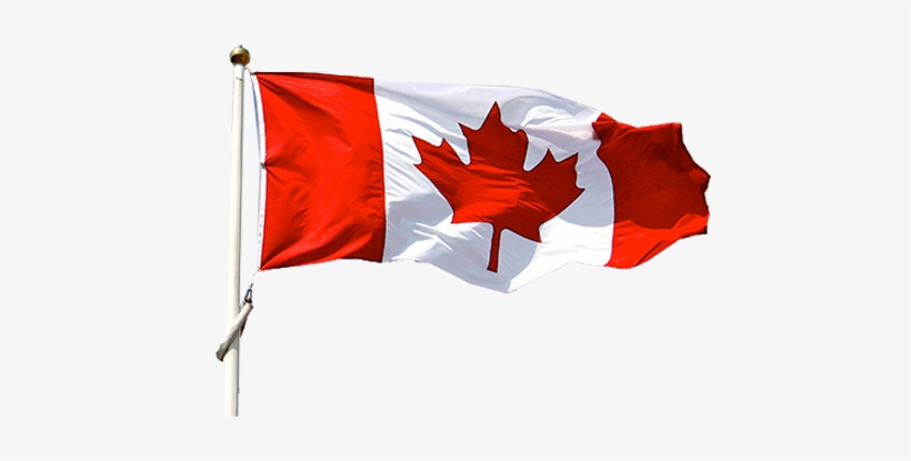 Share This Image - Wildon Home Canada Traditional Flag Size: 144" H X, transparent png #700359
