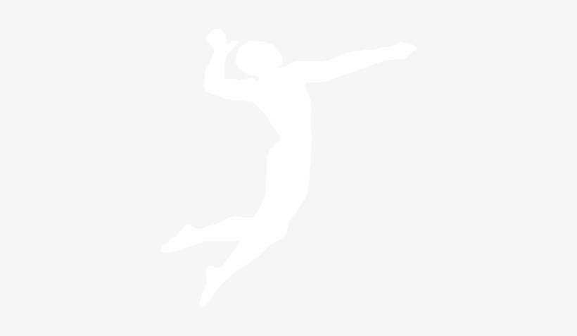 Why Ivc - Cafepress Volleyball Evolution Curtains, transparent png #701701