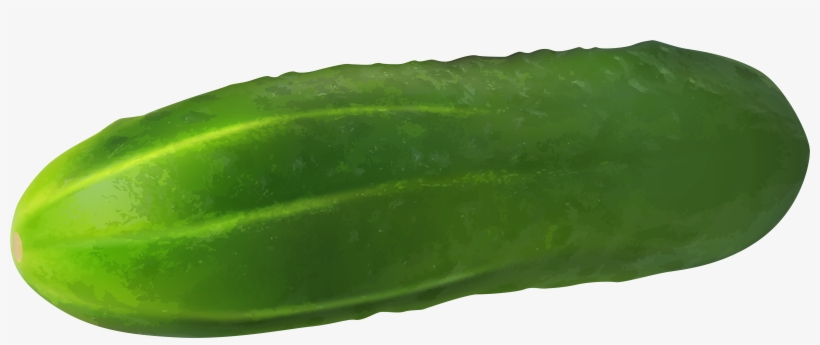 Gherkin Transparent Png Clip - Cucumber Clipart With Transparent Background, transparent png #702023