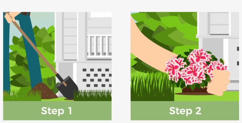 Digging The Hole - Tree, transparent png #702203